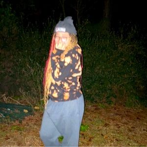 Meet your Posher, Bella